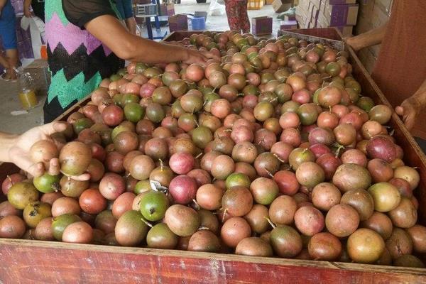 百香果怎么挑選 百香果硬的好還是軟的好