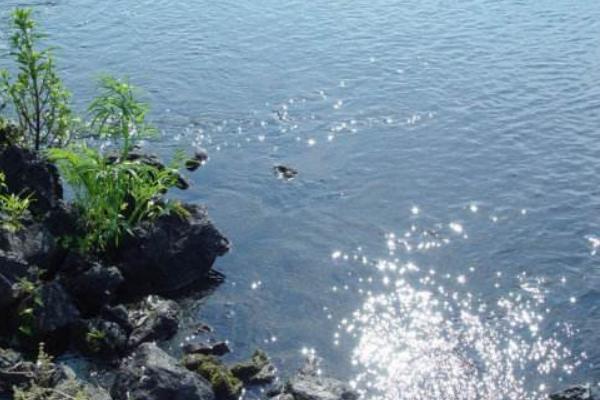 夢見河水暴漲是什么意思 女人夢到河里突然漲大水有什么預兆