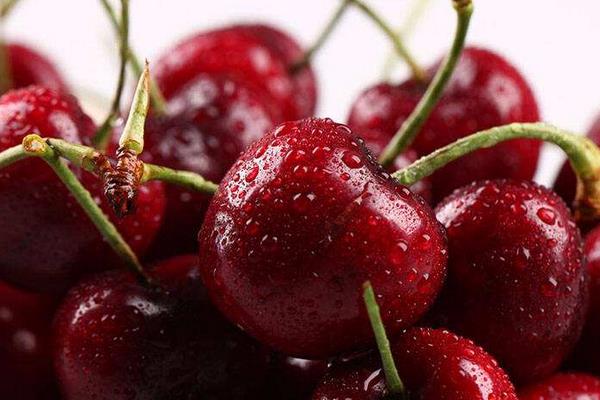 車厘子是什么季節的水果 車厘子幾月份上市