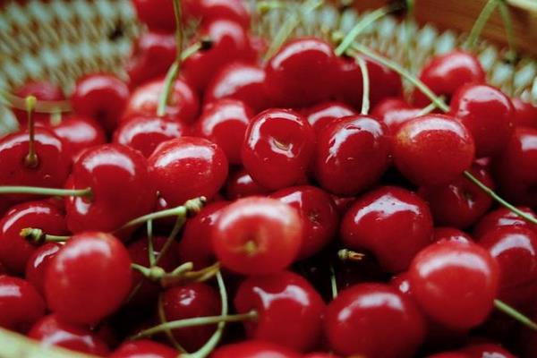 車厘子是什么季節的水果 車厘子幾月份上市