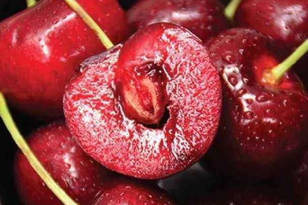 車厘子是什么季節的水果 車厘子幾月份上市