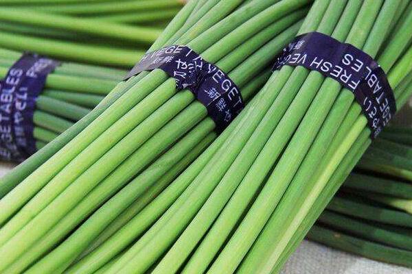 蒜苔畝產量多少斤 蒜苔種植前景與效益分析