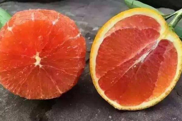 血橙產地在哪里 血橙怎么挑選