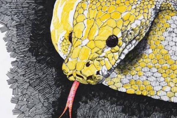 夢見被蟒蛇咬是什么意思 女人夢到被蟒蛇咬手有什么預兆