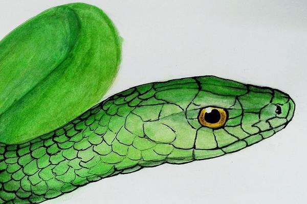 夢見被蟒蛇咬是什么意思 女人夢到被蟒蛇咬手有什么預兆