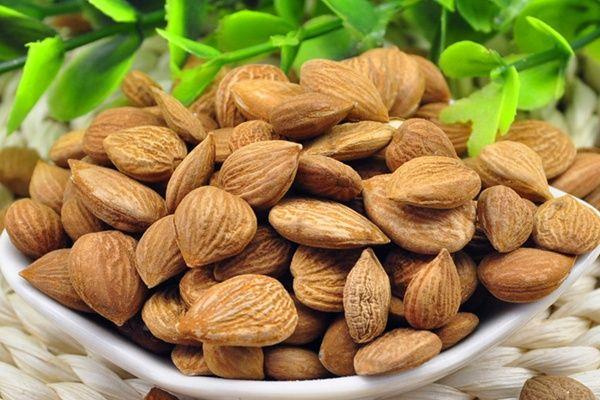 杏仁的功效與作用及禁忌 杏仁藥用價(jià)值
