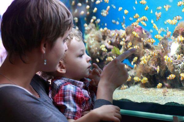 夢見抱小男孩是什么意思 女人夢到抱著個小男孩有什么預兆