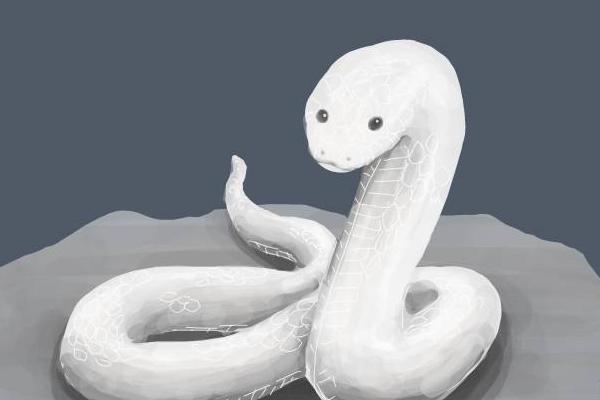 夢(mèng)見(jiàn)小白蛇是什么意思 女人夢(mèng)見(jiàn)白蛇追自己有什么預(yù)兆