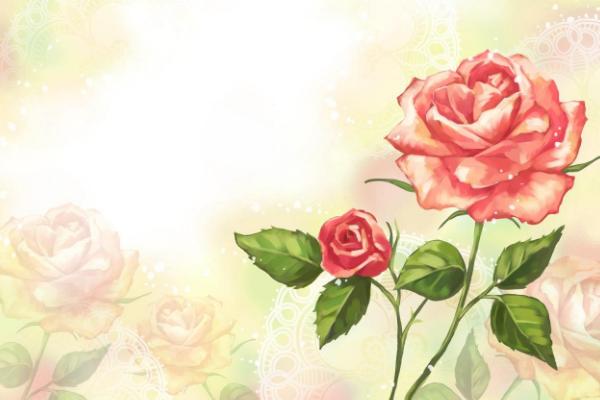 夢見玫瑰花開是什么意思 孕婦夢到紅玫瑰有什么預兆