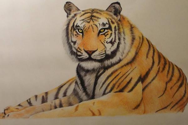 夢見老虎是什么意思 夢見老虎追我有什么預兆