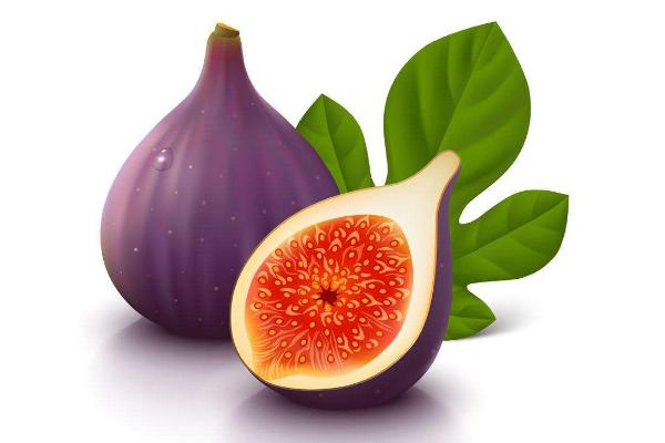 夢見無花果樹結滿無花果是什么意思 孕婦夢見無花果有什么預兆