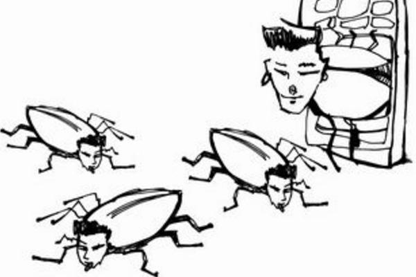 夢見蟑螂是什么意思 夢見成群蟑螂爬到身上有什么預兆