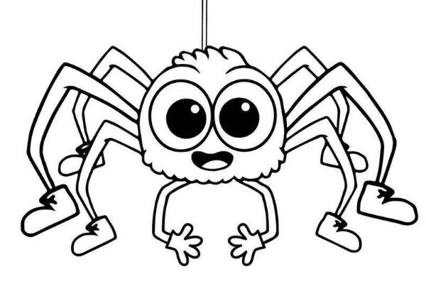 夢見蜘蛛是什么意思 女人夢見蜘蛛爬到身上咬人有什么預(yù)兆