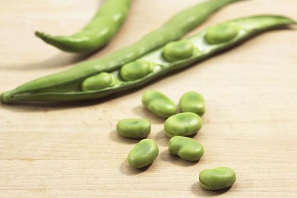 夢見蠶豆是什么意思 夢見摘蠶豆剝蠶豆有什么預兆