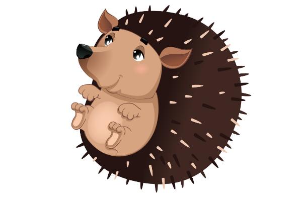 夢見刺猬是什么意思 女人夢到刺猬追自己有什么預兆