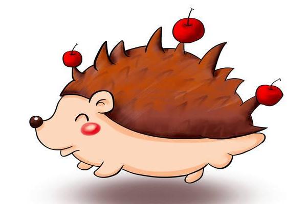 夢見刺猬是什么意思 女人夢到刺猬追自己有什么預兆