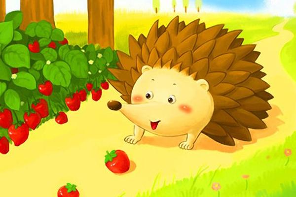 夢見刺猬是什么意思 女人夢到刺猬追自己有什么預兆