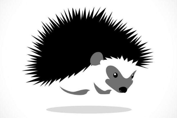 夢見刺猬是什么意思 女人夢到刺猬追自己有什么預兆