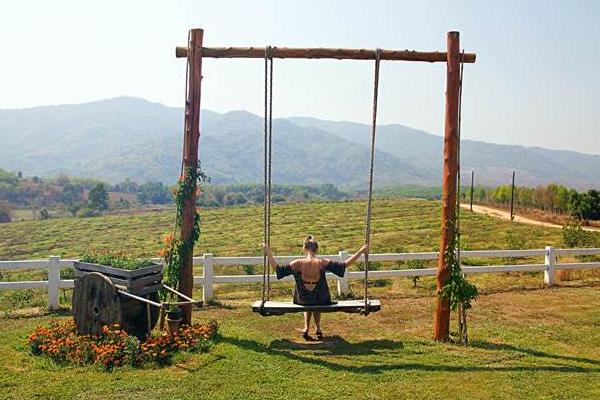 夢見蕩秋千是什么意思 女人夢到自己秋千蕩的很高有什么預兆