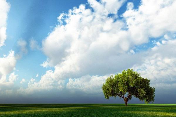 夢見藍天白云是什么意思 夢到晴空萬里有什么預兆