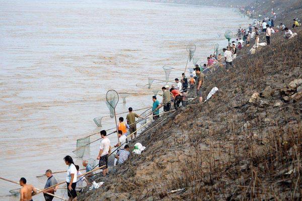 夢見別人撈魚是什么意思 夢到別人在河里用網撈了很多魚有什么預兆