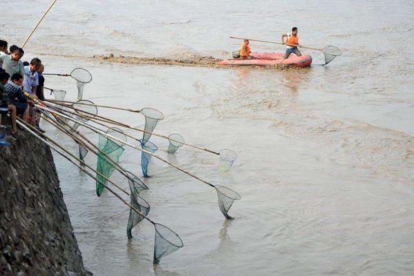 夢見別人撈魚是什么意思 夢到別人在河里用網撈了很多魚有什么預兆