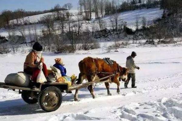 夢見驢拉車是什么意思 女人夢到驢拉車拖貨有什么預兆