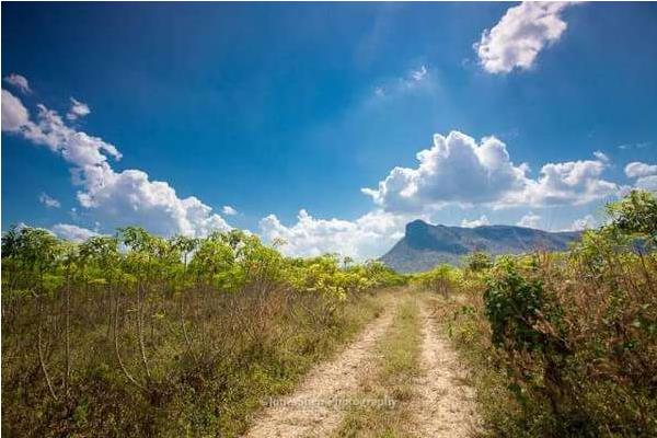 夢(mèng)見(jiàn)自己迷路了是什么意思 夢(mèng)到迷路找不到方向有什么預(yù)兆