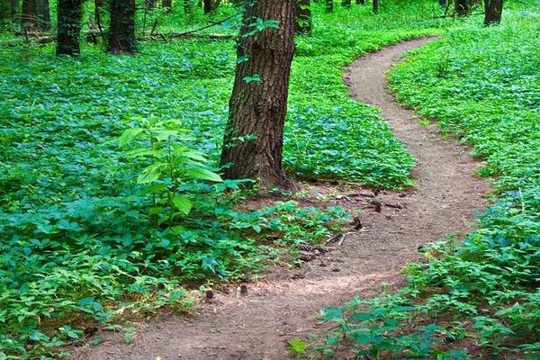 夢見自己迷路了是什么意思 夢到迷路找不到方向有什么預兆