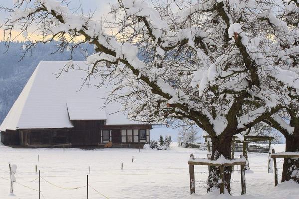 夢見鏟雪是什么意思 女人夢到很多人用鐵锨鏟雪有什么預兆