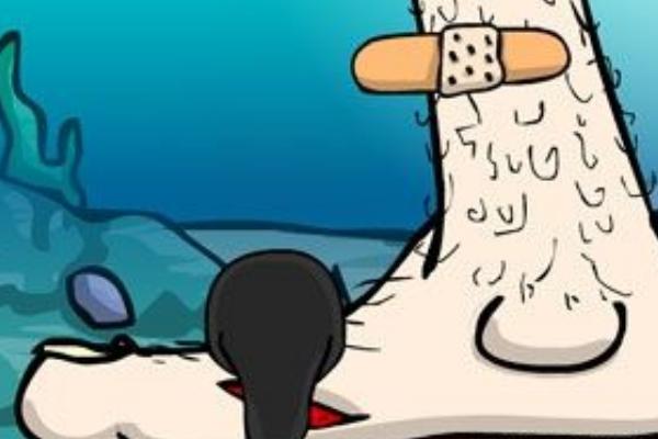 夢見吸血蟲有什么意思 女人夢到吸血蟲鉆到身體里有什么預兆