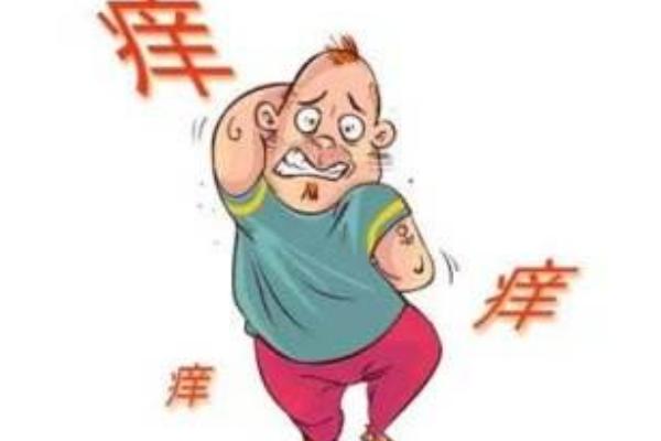 夢見吸血蟲有什么意思 女人夢到吸血蟲鉆到身體里有什么預兆