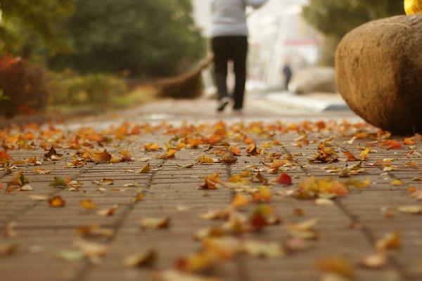 夢(mèng)見(jiàn)掃落葉是什么意思 夢(mèng)到掃院子里的落葉有什么預(yù)兆