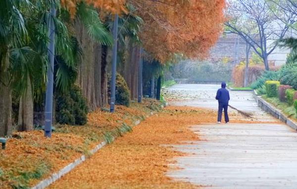 夢(mèng)見(jiàn)掃落葉是什么意思 夢(mèng)到掃院子里的落葉有什么預(yù)兆