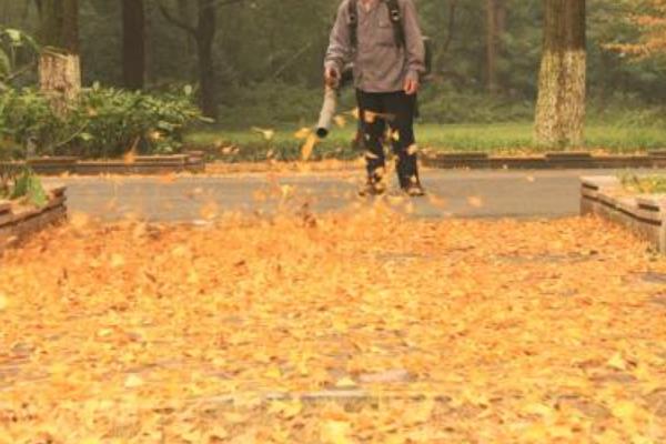 夢(mèng)見(jiàn)掃落葉是什么意思 夢(mèng)到掃院子里的落葉有什么預(yù)兆