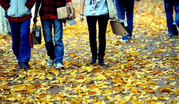 夢(mèng)見(jiàn)掃落葉是什么意思 夢(mèng)到掃院子里的落葉有什么預(yù)兆