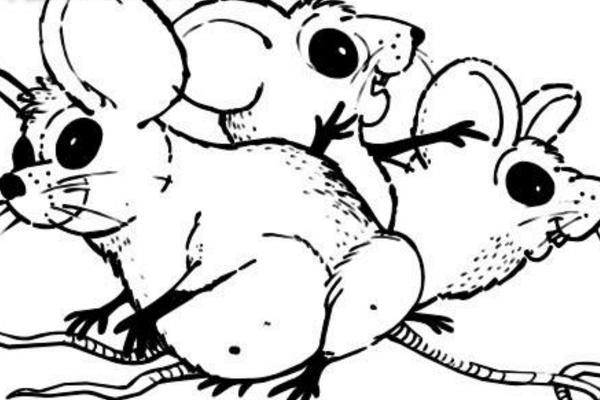 夢見死老鼠是什么意思 夢到地上很多死老鼠有什么預兆