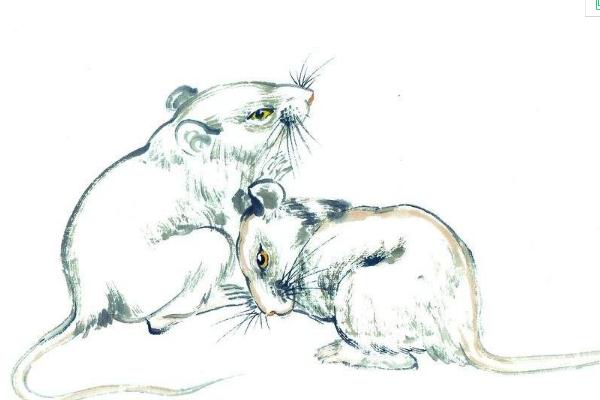 夢見死老鼠是什么意思 夢到地上很多死老鼠有什么預兆