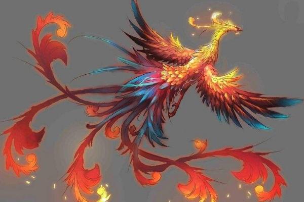 夢見鳳凰是什么意思 女人夢到鳳凰帶著自己飛有什么預(yù)兆