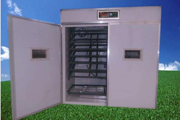 小雞孵化機市場價格多少錢一臺 小雞孵化設備有哪些