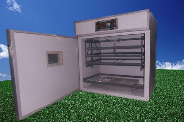 小雞孵化機市場價格多少錢一臺 小雞孵化設備有哪些