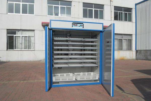 小雞孵化機市場價格多少錢一臺 小雞孵化設備有哪些