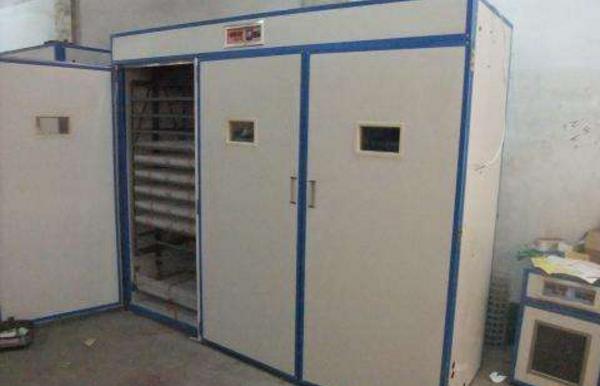 小雞孵化機市場價格多少錢一臺 小雞孵化設備有哪些