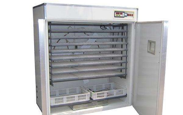 小雞孵化機市場價格多少錢一臺 小雞孵化設備有哪些