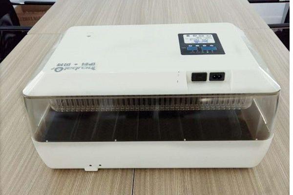 小雞孵化機市場價格多少錢一臺 小雞孵化設備有哪些