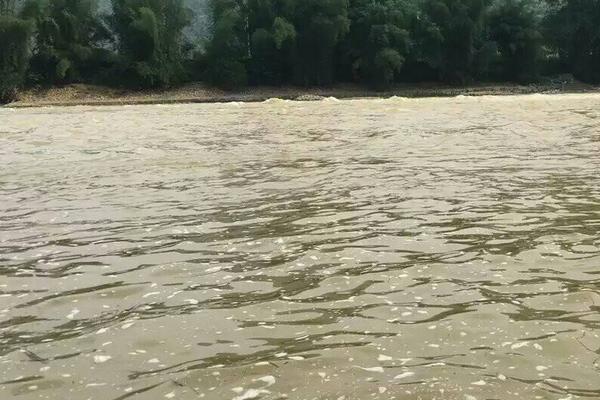 夢見渾水是什么意思 女人夢到自己在渾水里走有什么預兆