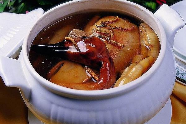 老鴨子燉什么最營養 鴨子燒什么好吃