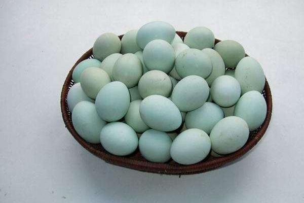 烏骨雞蛋的功效與作用 烏骨雞蛋的營養價值