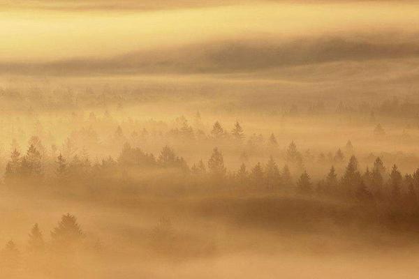 夢見風沙是什么意思 女人夢到風沙撲面而來有什么預兆