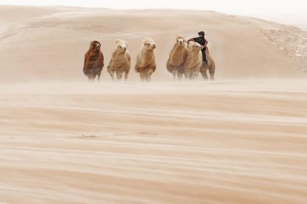 夢見風沙是什么意思 女人夢到風沙撲面而來有什么預兆